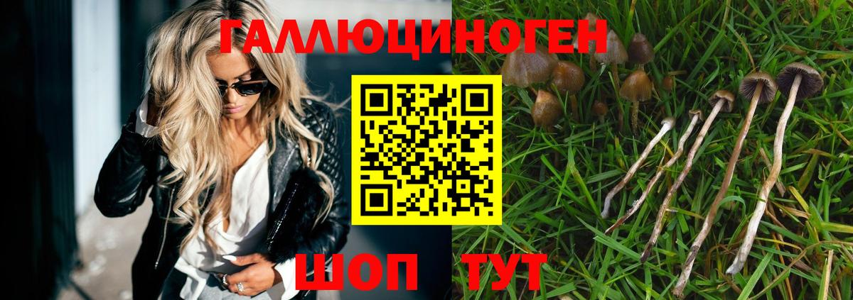 Галлюциногенные грибы Psilocybine cubensis  Вход с VPN  Феодосия 